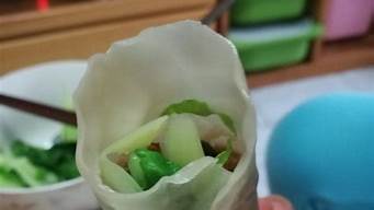 饺子皮春饼的做法_饺子皮春饼的做法窍门